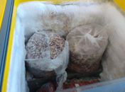 Vigilância sanitária apreende 150kg de carnes impróprias para o consumo em supermercados