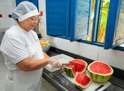 Chamada pública para compra de itens da agricultura familiar para merenda encerra quinta-feira (6)