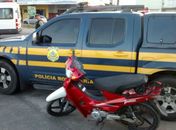 Veículos apreendidos durante operação 