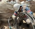 Furto de cabos e equipamentos: 3,6 toneladas de materiais já foram apreendidas este ano, em AL; Equatorial reforça importância de denúncias