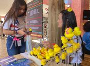 Por que todo mundo está usando um pato na cabeça na Bienal? Entenda a moda que inundou AL