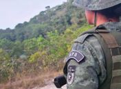 Polícia Ambiental apreende 60 aves silvestres em feiras de Maceió e Rio Largo