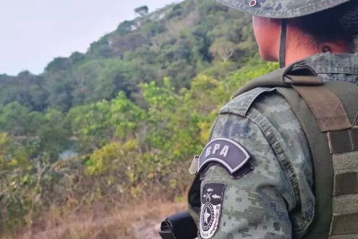 Polícia Ambiental apreende 60 aves silvestres em feiras de Maceió e Rio Largo