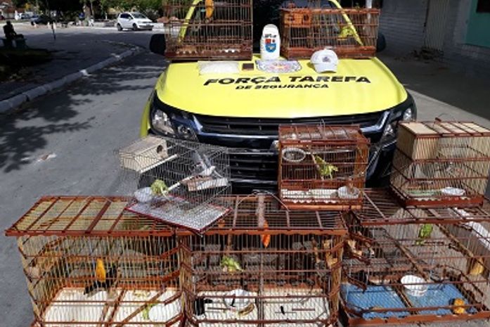 Após abordagem no Terminal do Vergel do Lago, BPTran prende indivíduo por crime ambiental