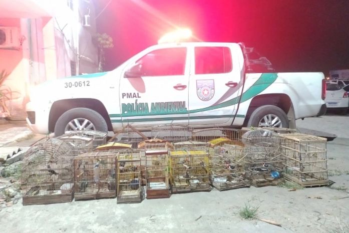 Operação apreende 56 animais silvestres, no Agreste