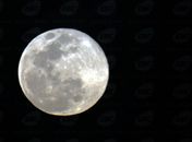 Última superlua cheia do ano pode ser vista nesta sexta-feira
