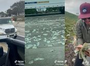 Rodovia fica coberta de dinheiro nos EUA após porta de carro forte se abrir