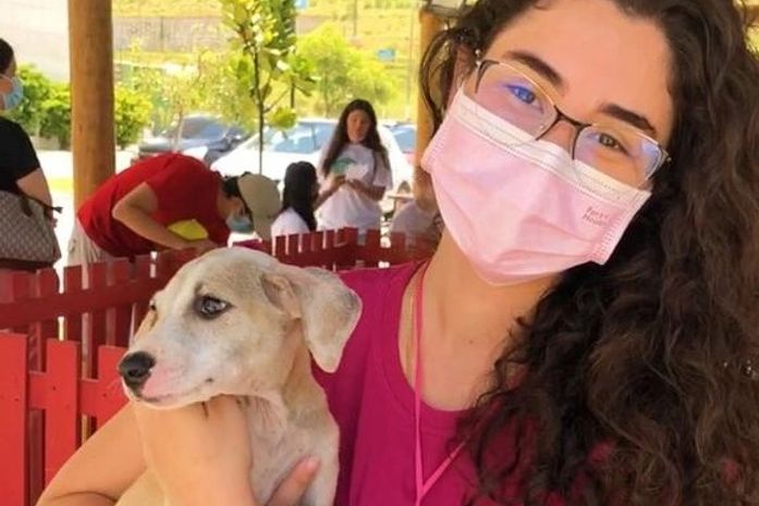 Maceió terá 200 castrações gratuitas para cães e gatos de famílias carentes