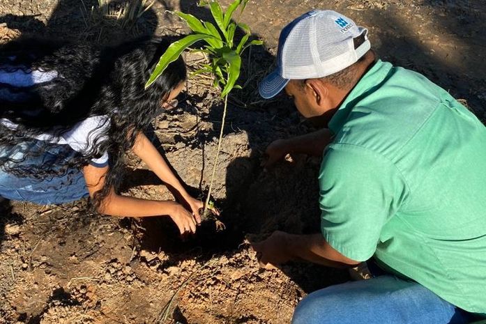 No Mês do Meio Ambiente, estudantes conhecem iniciativas sustentáveis de cooperativa