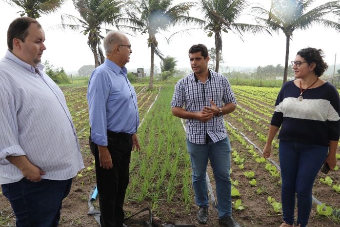 Teófilo realiza visita técnica ao polo de produção de plantio irrigado de hortaliças
