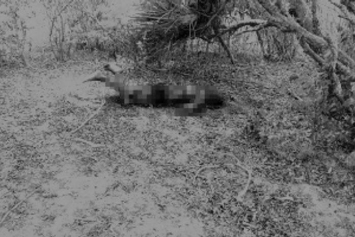 Corpo em chamas é encontrado em Palmeira dos Índios