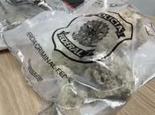 
PF apreende 10 kg de corais marinhos em bagagem de turistas no Aeroporto Zumbi dos Palmares