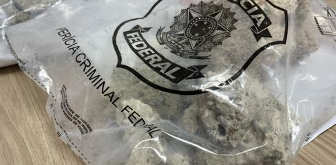 PF apreende 10 kg de corais marinhos em bagagem de turistas no Aeroporto Zumbi dos Palmares