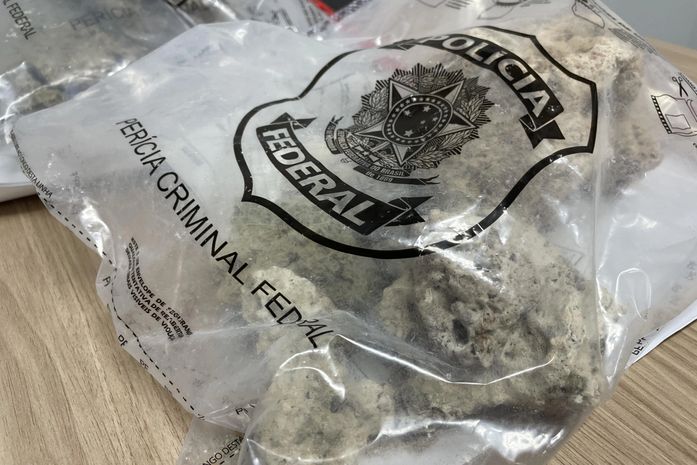 PF apreende 10 kg de corais marinhos em bagagem de turistas no Aeroporto Zumbi dos Palmares