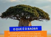 O Projeto Baobá faz plantio da primeira Árvore Sagrada, na terra  do primeiro Presidente da República do  Brasil