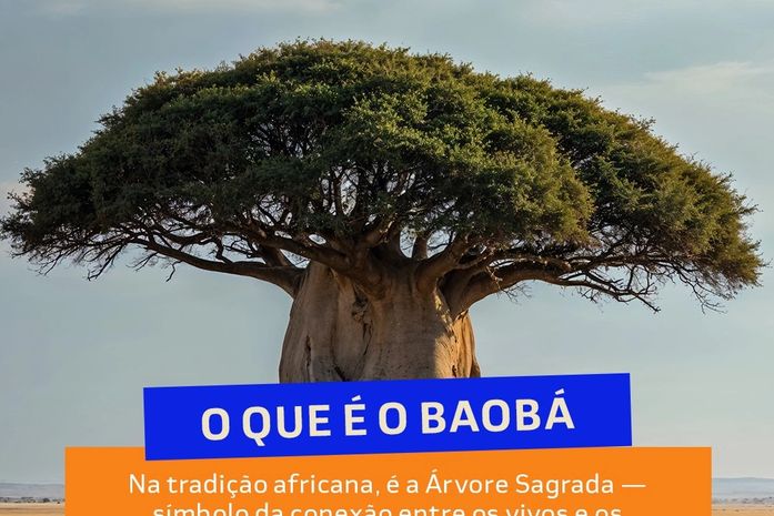 O Projeto Baobá faz plantio da primeira Árvore Sagrada, na terra do primeiro Presidente da República do Brasil