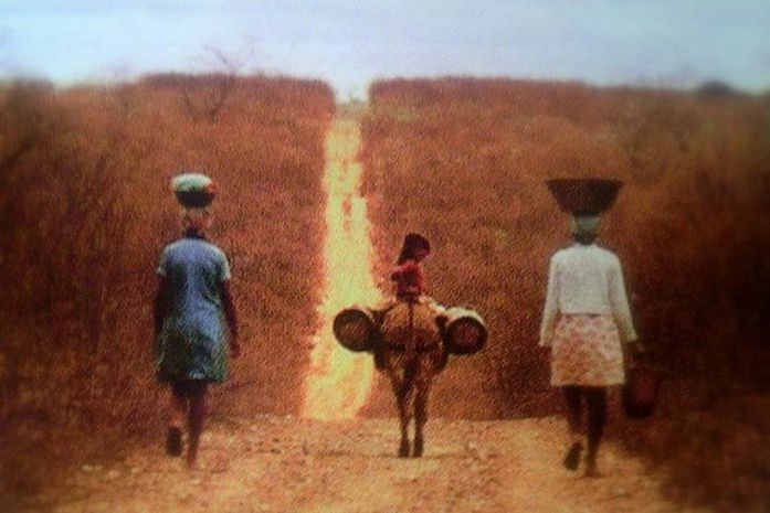 Seca atinge 38 municípios