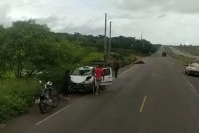 Cavalo invade pista e morre atropelado no Agreste de Alagoas