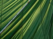 Imprensa Oficial Graciliano Ramos lança Velas, novo livro de arte de Celso Brandão