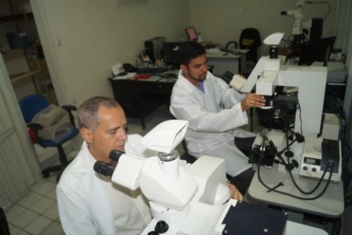 Peritos do IC trabalhando no caso