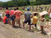 População saqueia carga após carreta tombar na BR-316 em Alagoas; veja vídeo 