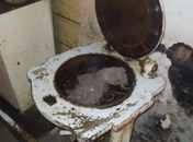 Panificação em “péssimas condições de higiene” é interditada pela Vigilância Sanitária de Maceió