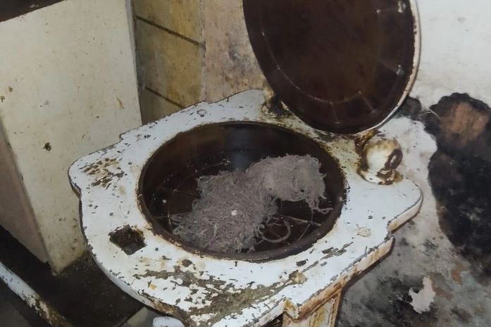 Panificação em “péssimas condições de higiene” é interditada pela Vigilância Sanitária de Maceió