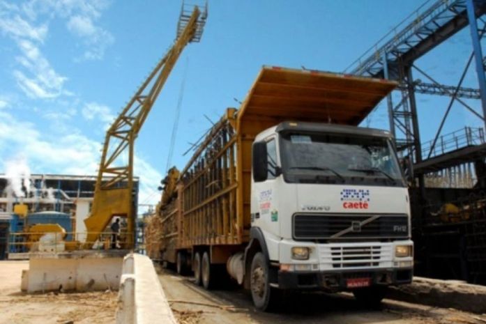 Usina Marituba, de Igreja Nova, abre seleção para contratar trabalhadores