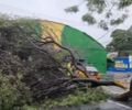 Árvore cai durante fortes chuvas e interdita via no Jaraguá