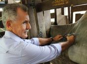 Vacinação, que prossegue até o dia 31 de maio, é obrigatória para todos os bovinos e bubalinos