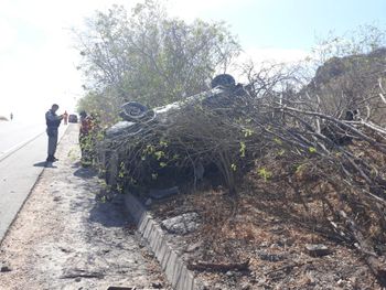 Rs=w:350,h:263,i:true,cg:true,ft:cover?cache=true