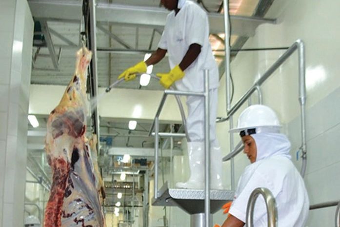 Sem dialogo com a Frigovale, marchantes podem levar o abate de gado de Arapiraca para Maceió