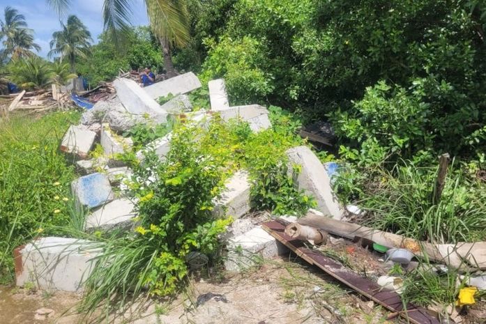 Empreendimento é multado após morte de peixes-boi em Porto de Pedras