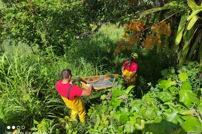 Circunstancia da morte e identidade da vítima ainda são desconhecidas.