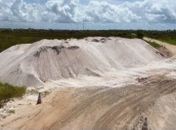 Extração ilegal de areia ameaça biodiversidade e vida selvagem em paraíso alagoano