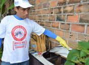 Ações de combate a dengue