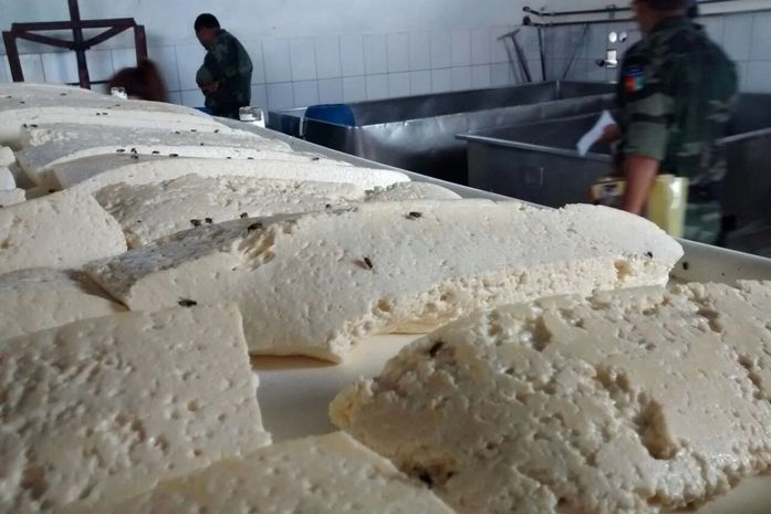 Mais um laticínio é interditado em Major Izidoro