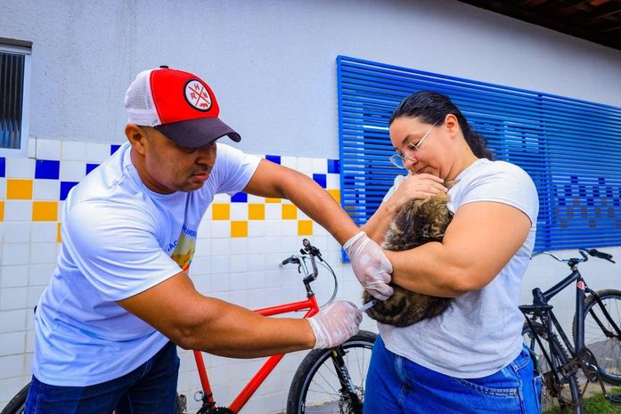 Prefeitura de Arapiraca vai realizar uma repescagem da vacinação para cães e gatos neste sábado (13)