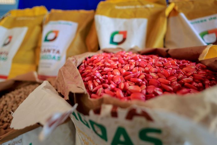 Governo de Alagoas investe mais de R$ 26 milhões em ações para agricultura familiar no primeiro semestre