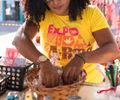 “Expo: Vida e Arte” une tradição, negócios e conscientização sobre violência contra a mulher; entrada é gratuita