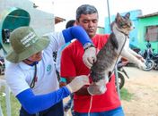 Arapiraca dará início à vacinação antirrábica para cães e gatos na próxima segunda (10)
