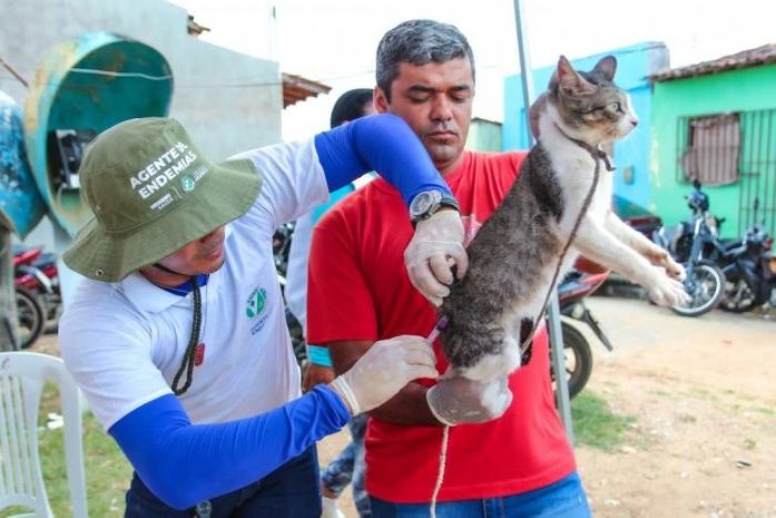 Arapiraca dará início à vacinação antirrábica para cães e gatos na próxima segunda (10)