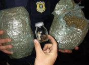 PRF apreende drogas e prende quatro homens por associação e tráfico