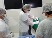 Prefeitura de Piranhas e Ufal realizam cirurgias para remoção de tumores de pele

