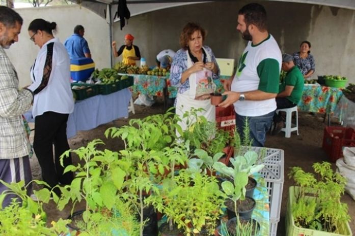 Feira orgânica