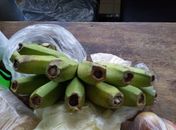 Cacho de banana foi encontrado com visitante