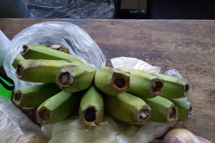 Cacho de banana foi encontrado com visitante