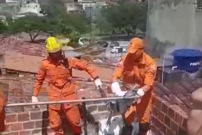 Vídeo: Jacaré é encontrado em laje de residência e mobiliza Corpo de Bombeiros em Arapiraca