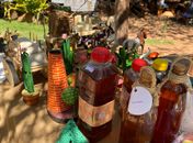 Com apoio da Prefeitura de Delmiro Gouveia, artesãos melhoram renda e encantam turistas