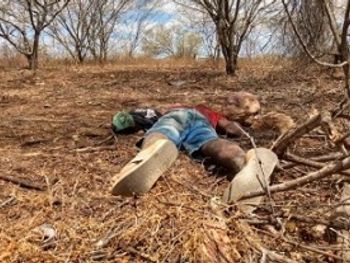 Rs=w:350,h:263,i:true,cg:true,ft:cover?cache=true